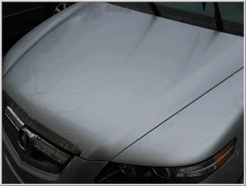 TLdetail10.JPG