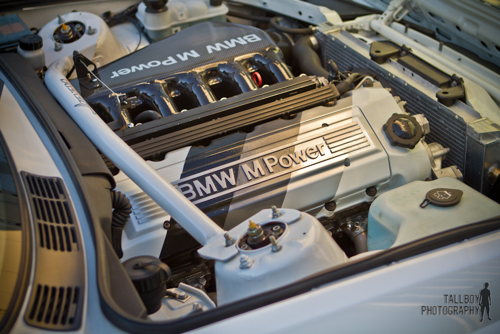 joeysm3-8.jpg